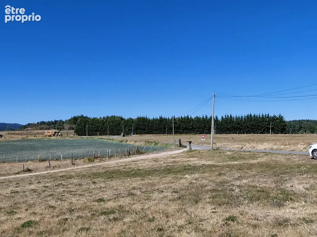 Terrain plat de 748 m² viabilisé ? Rozier-Côtes-d'Aurec - photo 2