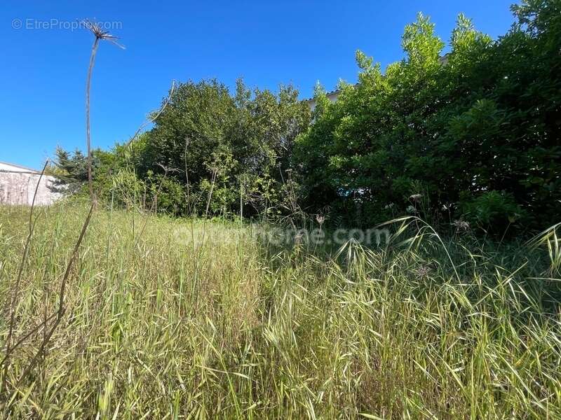 Terrain à LA FLOTTE