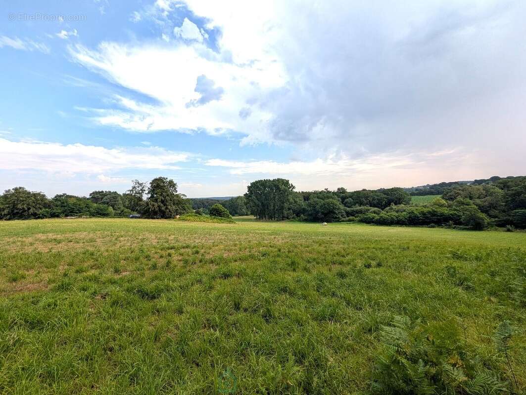 Propriété sur 27 hectares, maison 179 m2, bâtiments de 700 m2 salle de réception et 600 m2 garage - photo 22