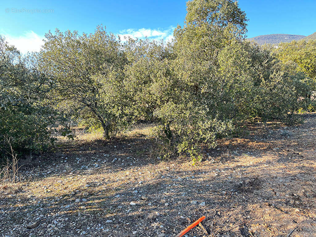 Photo 5 - Terrain à RUSTREL