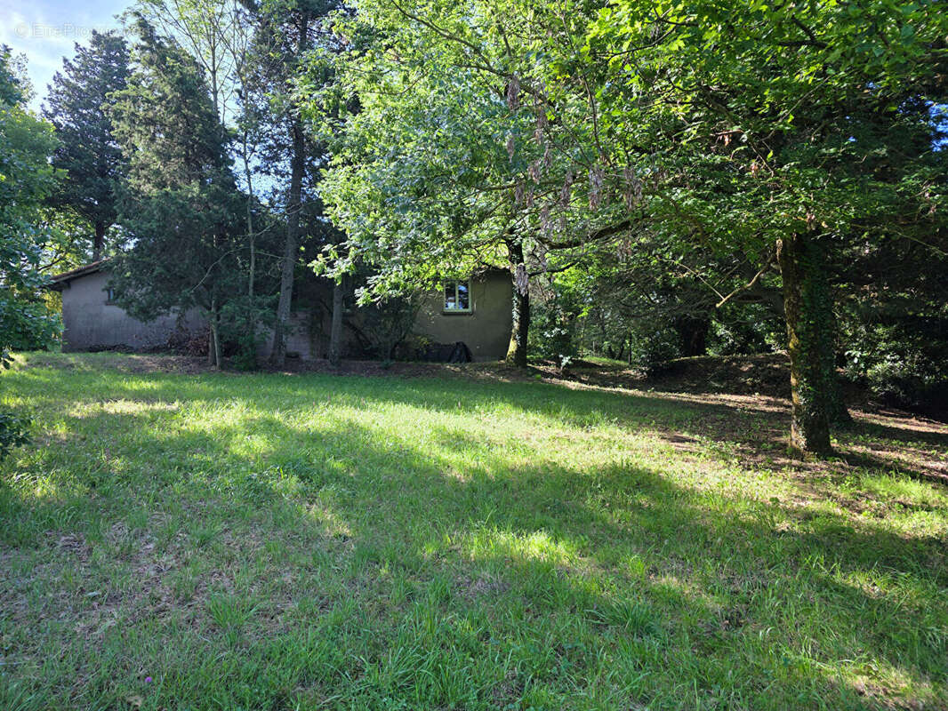 Maison à AIGUEFONDE