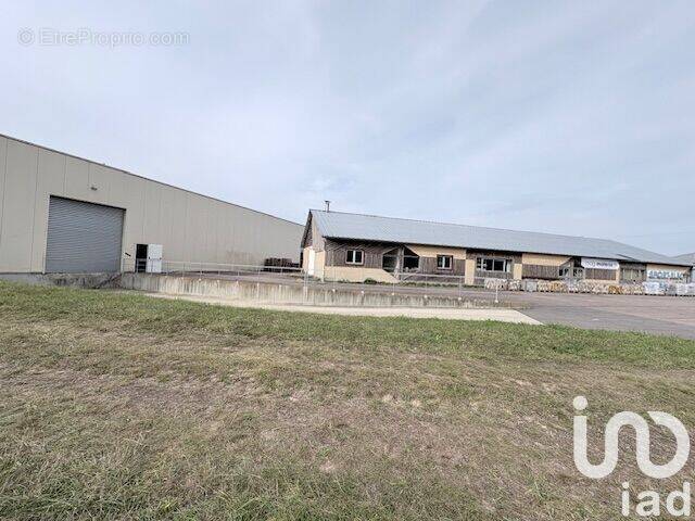 Photo 1 - Appartement à VOISCREVILLE