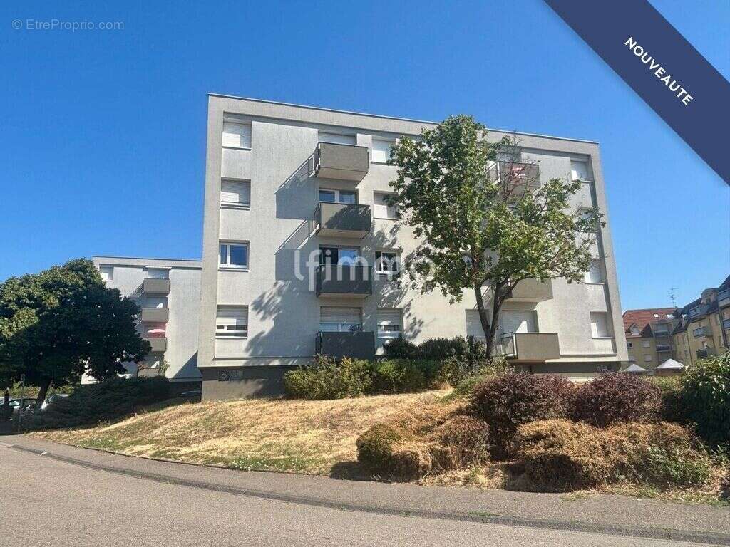Appartement loué T3 avec balcon, cave, loggia et parking - photo 13