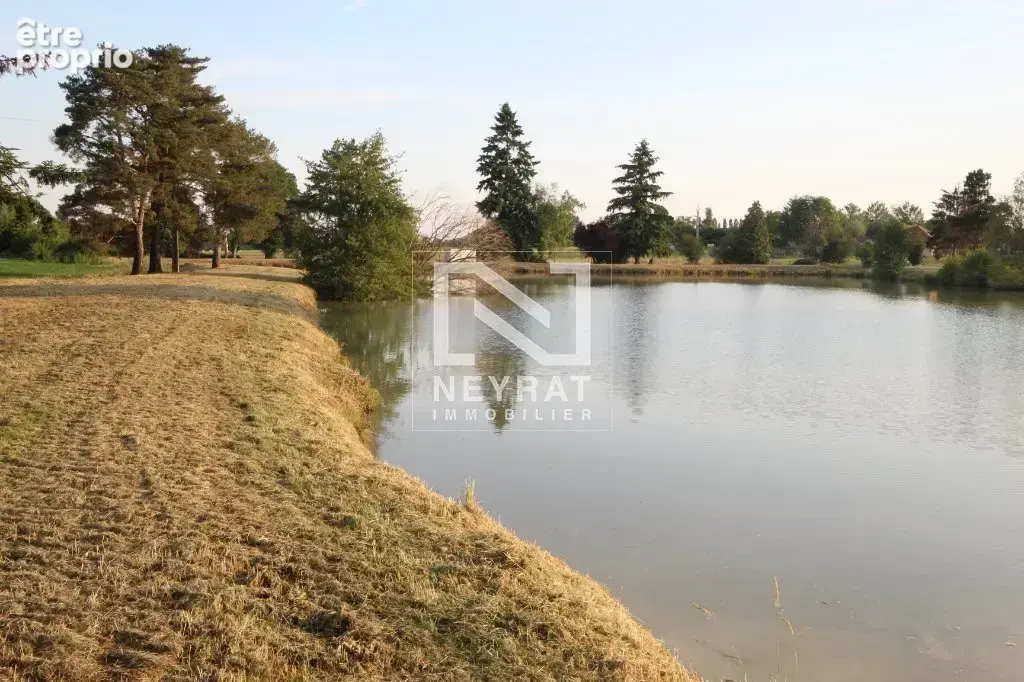 Etang avec sources - photo 14