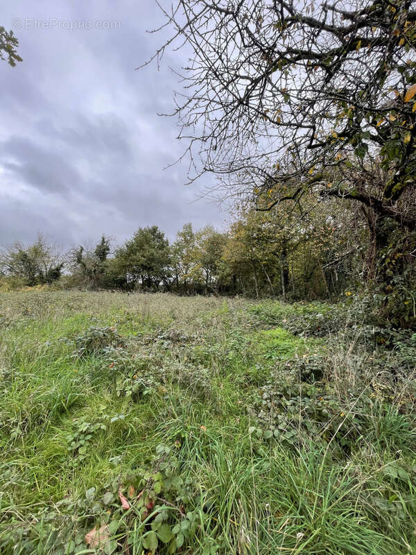 Maison à LA CHAPELLE-AU-RIBOUL