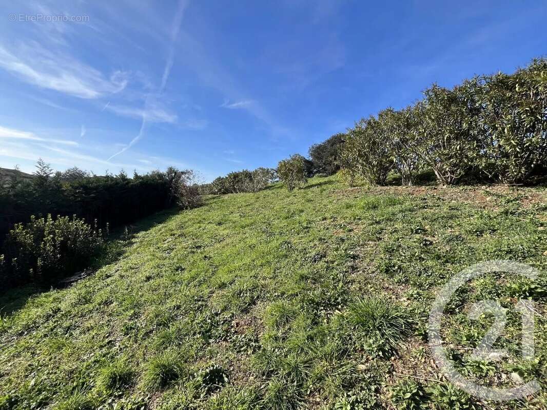 Terrain à BIOT