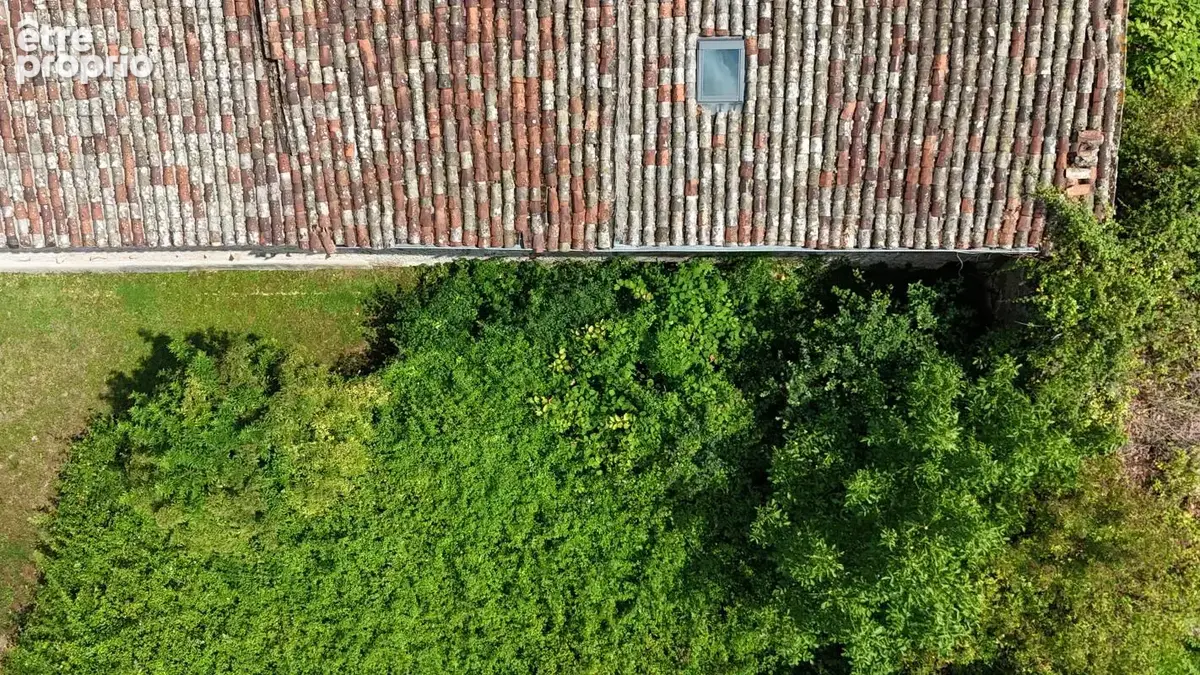 Maison a rénover - terrain- dépendances - photo 3