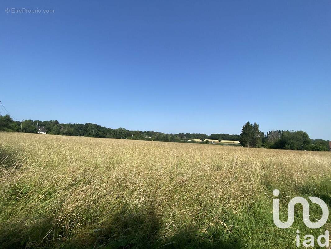 Photo 1 - Terrain à VARENNES-CHANGY