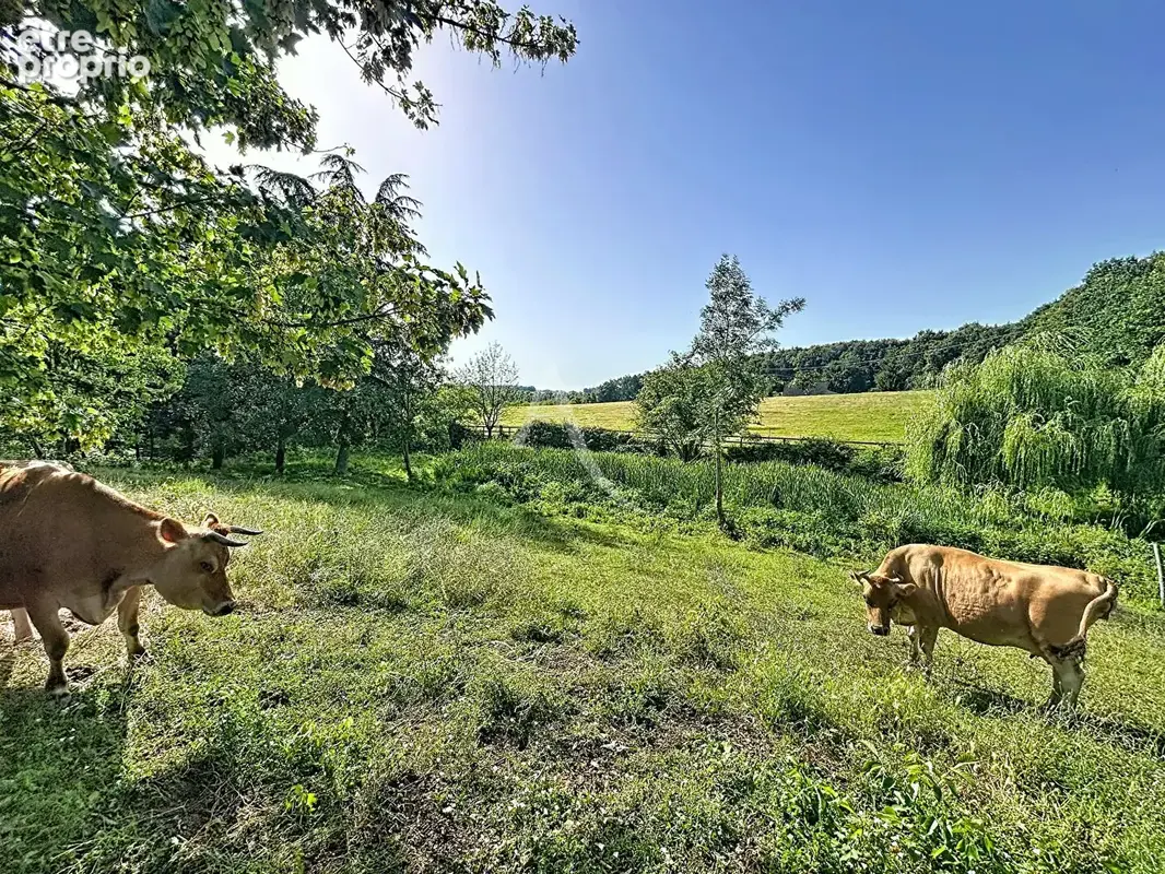 Terrain Loigne Sur Mayenne 23946 m2 - photo 9