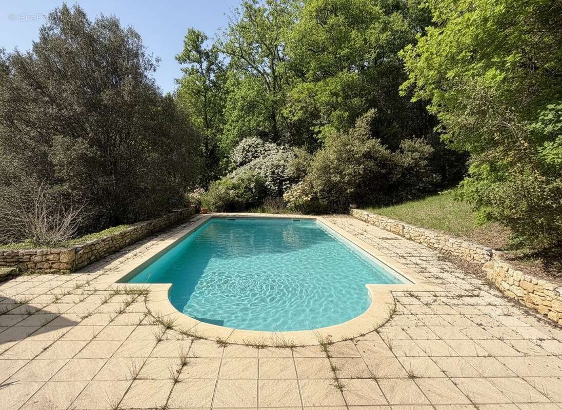 piscine - Maison à SAINT-VINCENT-DE-COSSE