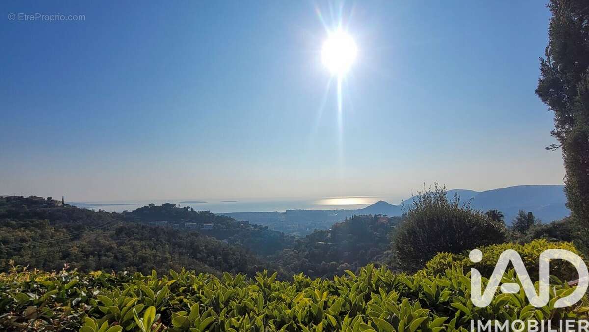 Photo 4 - Appartement à MANDELIEU-LA-NAPOULE