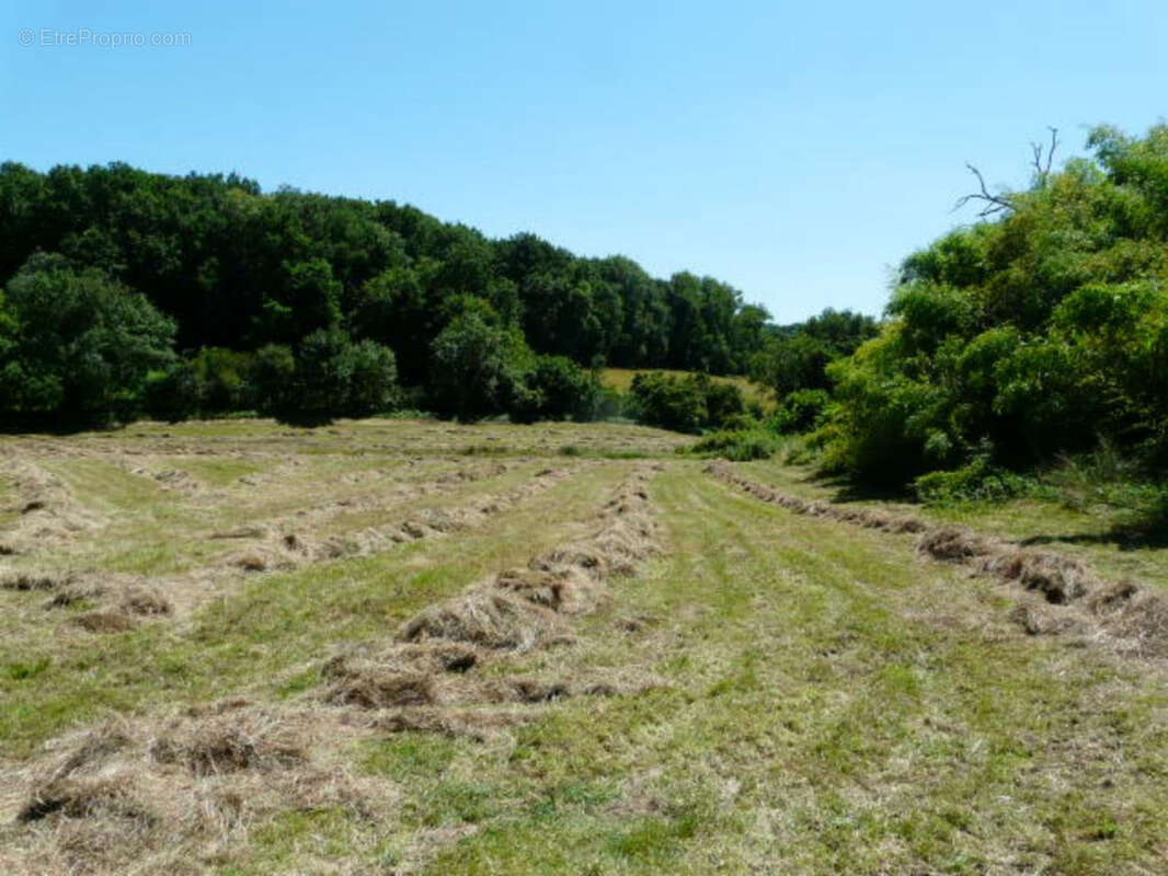 Ancienne Maison de Maître terre et bois 6 Ha - photo 13