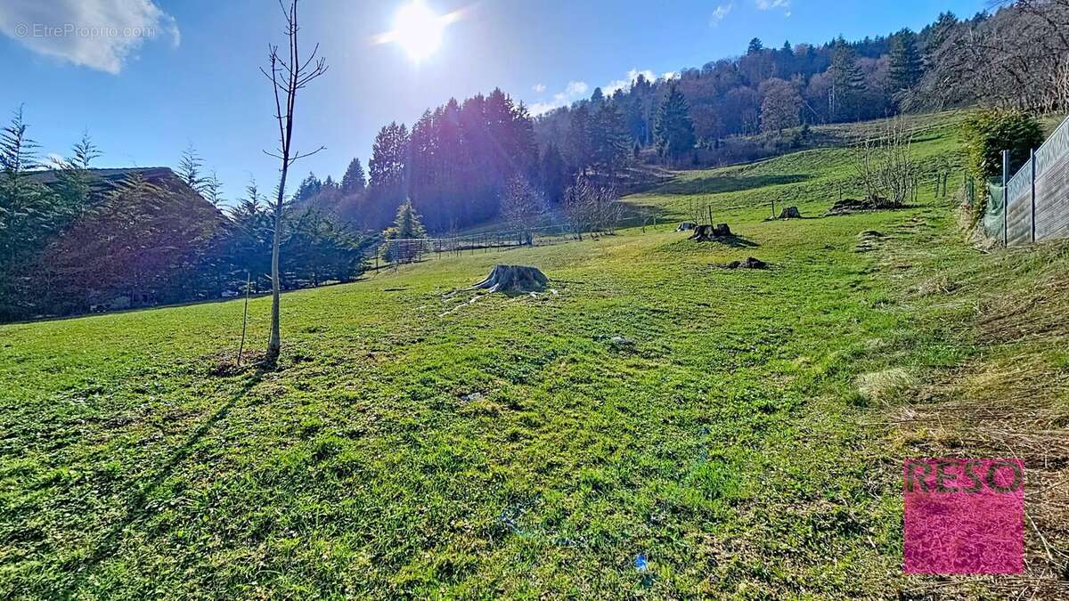 Terrain à HABERE-POCHE