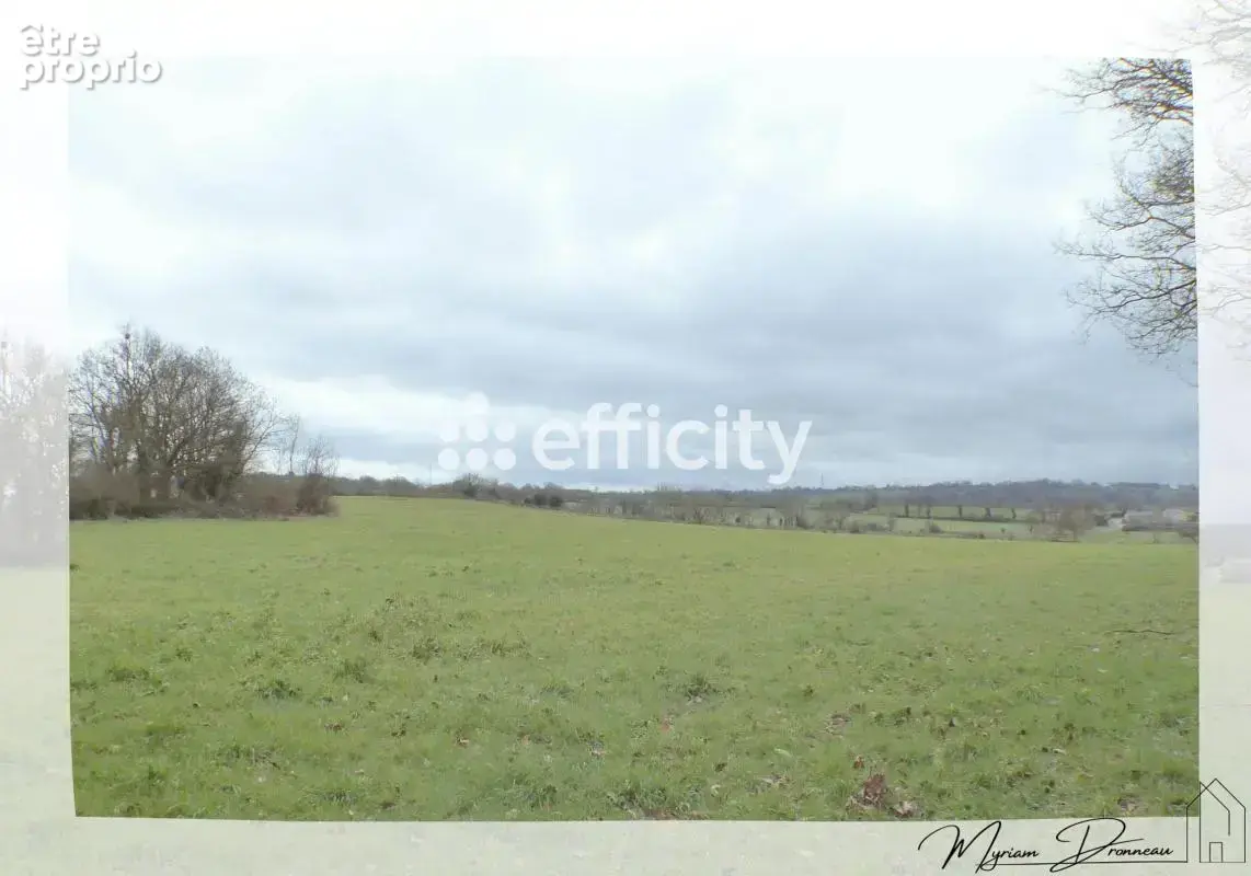 Terrain 10 000 m² à vendre à Mauleon (79700) - photo 3