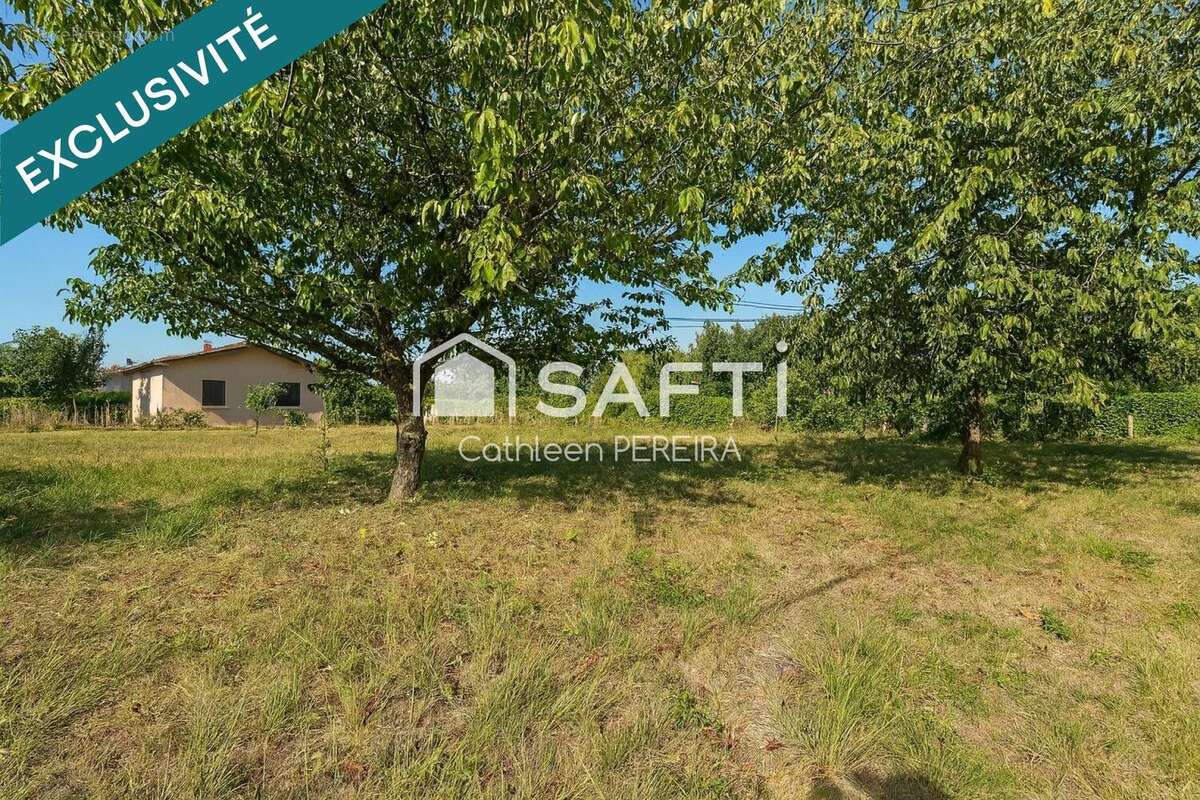 Photo 3 - Terrain à LAVAUR