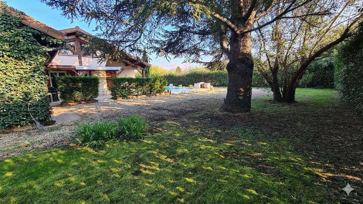 Maison à SAINT-JEAN-SUR-VEYLE