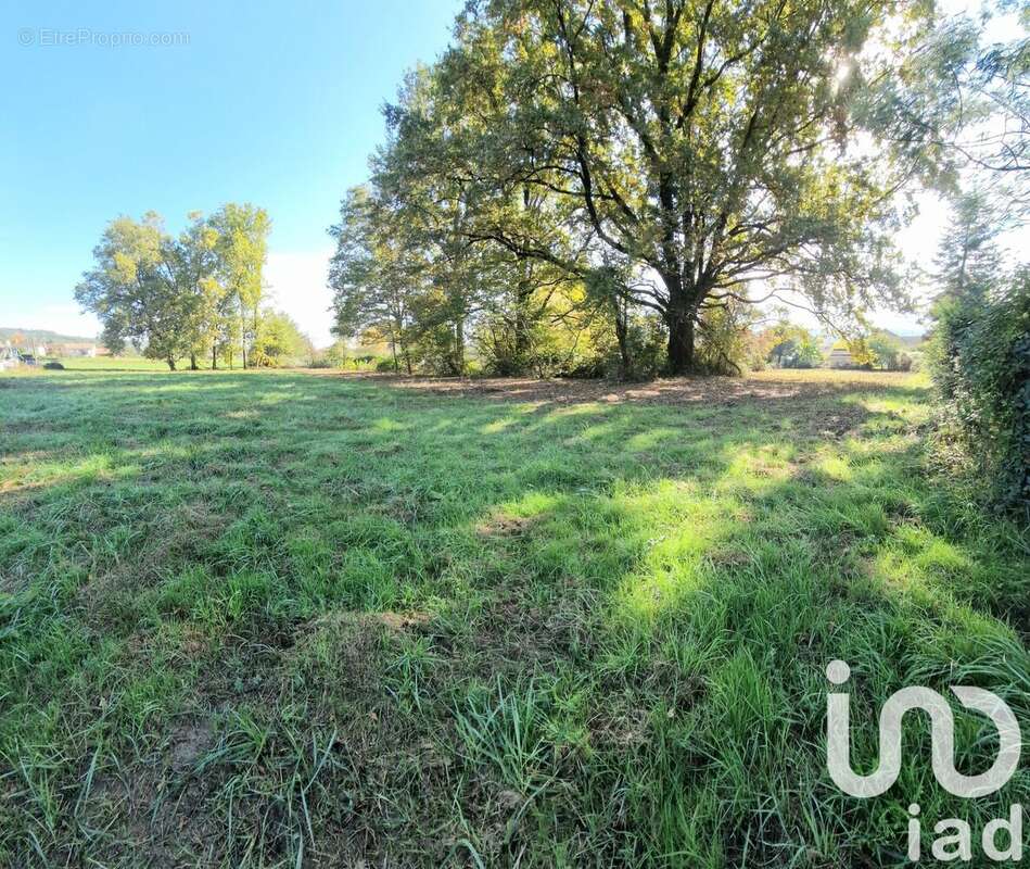 Photo 2 - Terrain à TERRASSON-LAVILLEDIEU