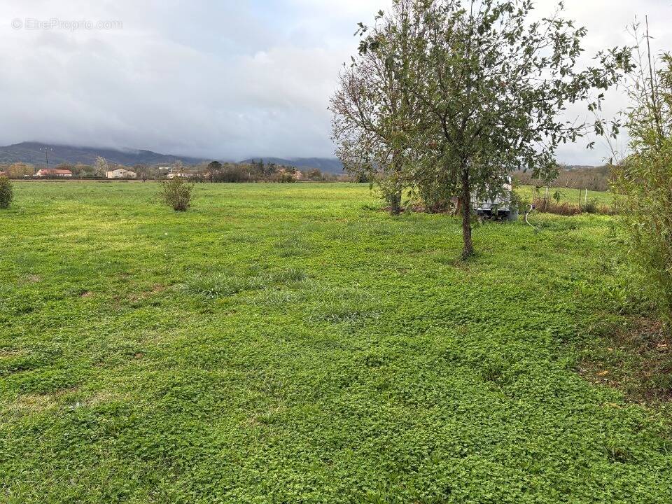 Terrain à LABRUGUIERE