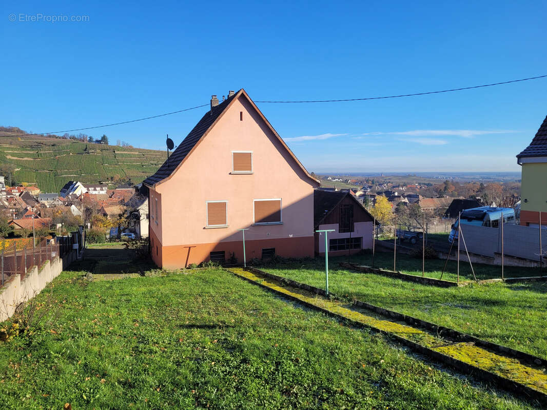 Maison à RIBEAUVILLE