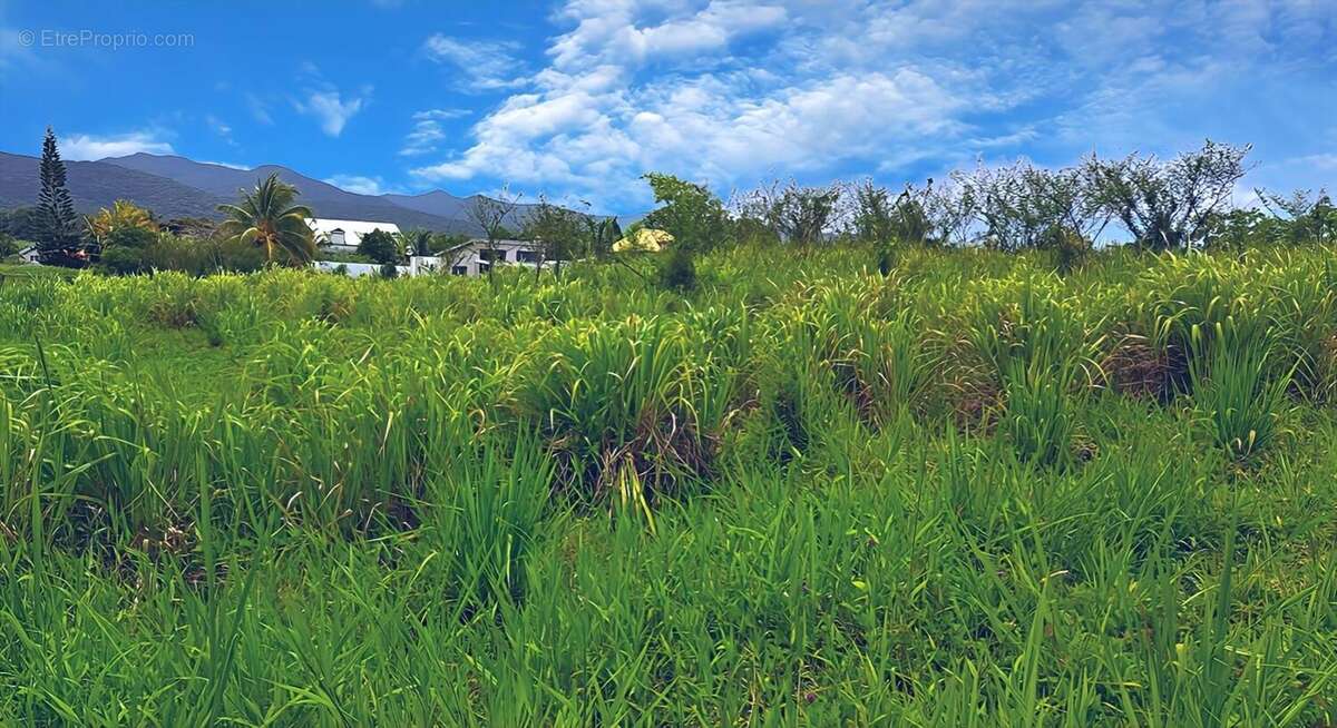 Photo 3 - Terrain à LAMENTIN