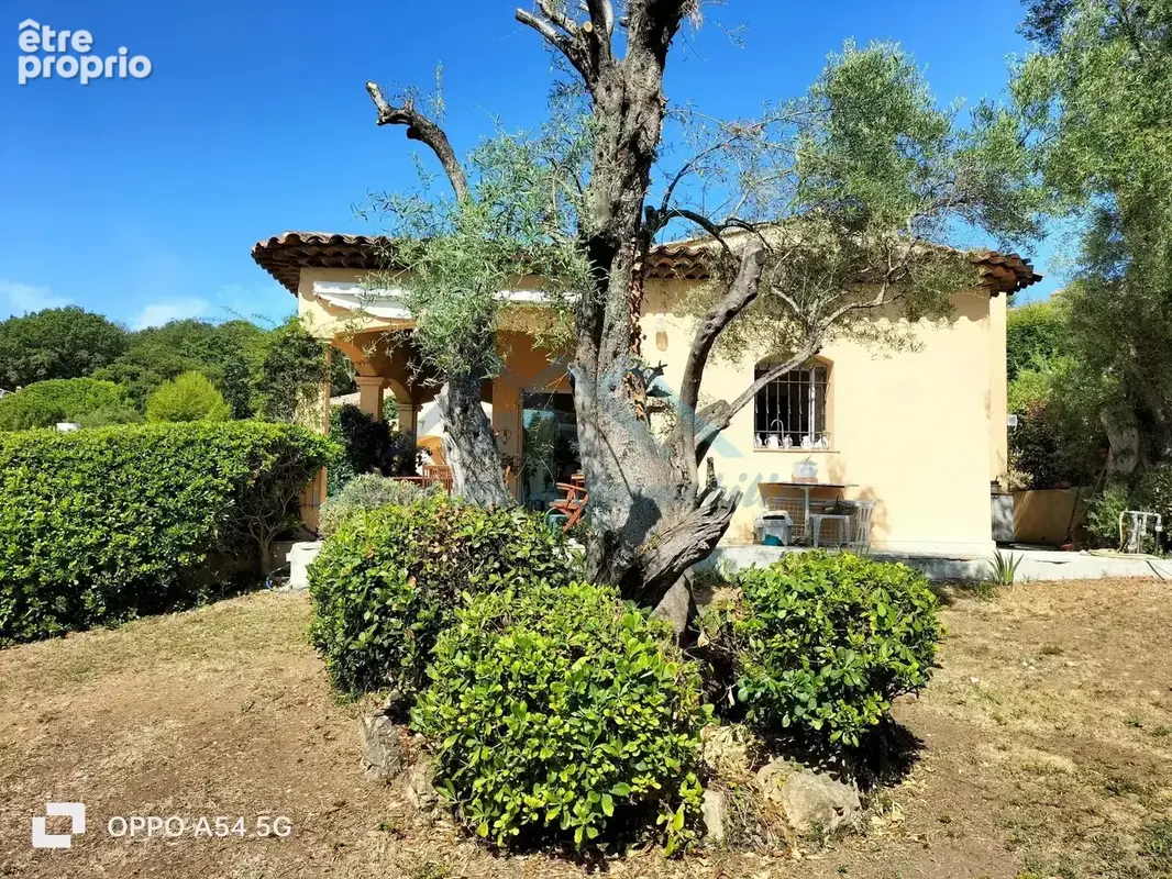 Maison 186 m² à vendre à Antibes (06600) - photo 4