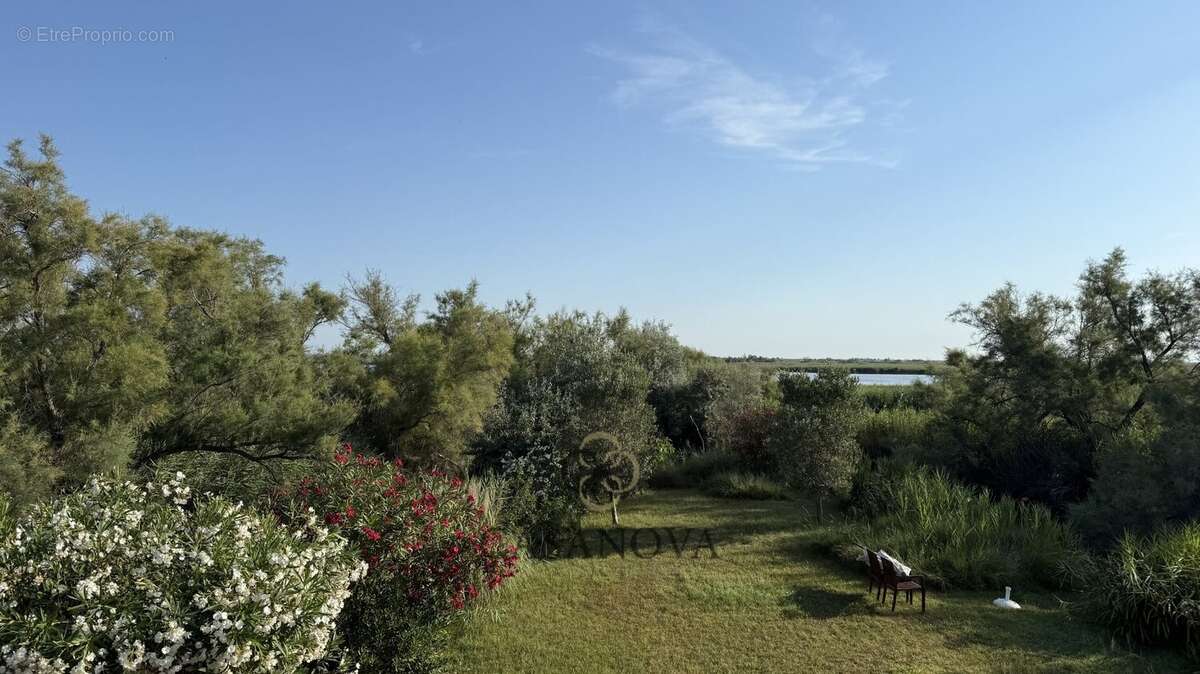 La presqu'île Camarguaise - photo 28