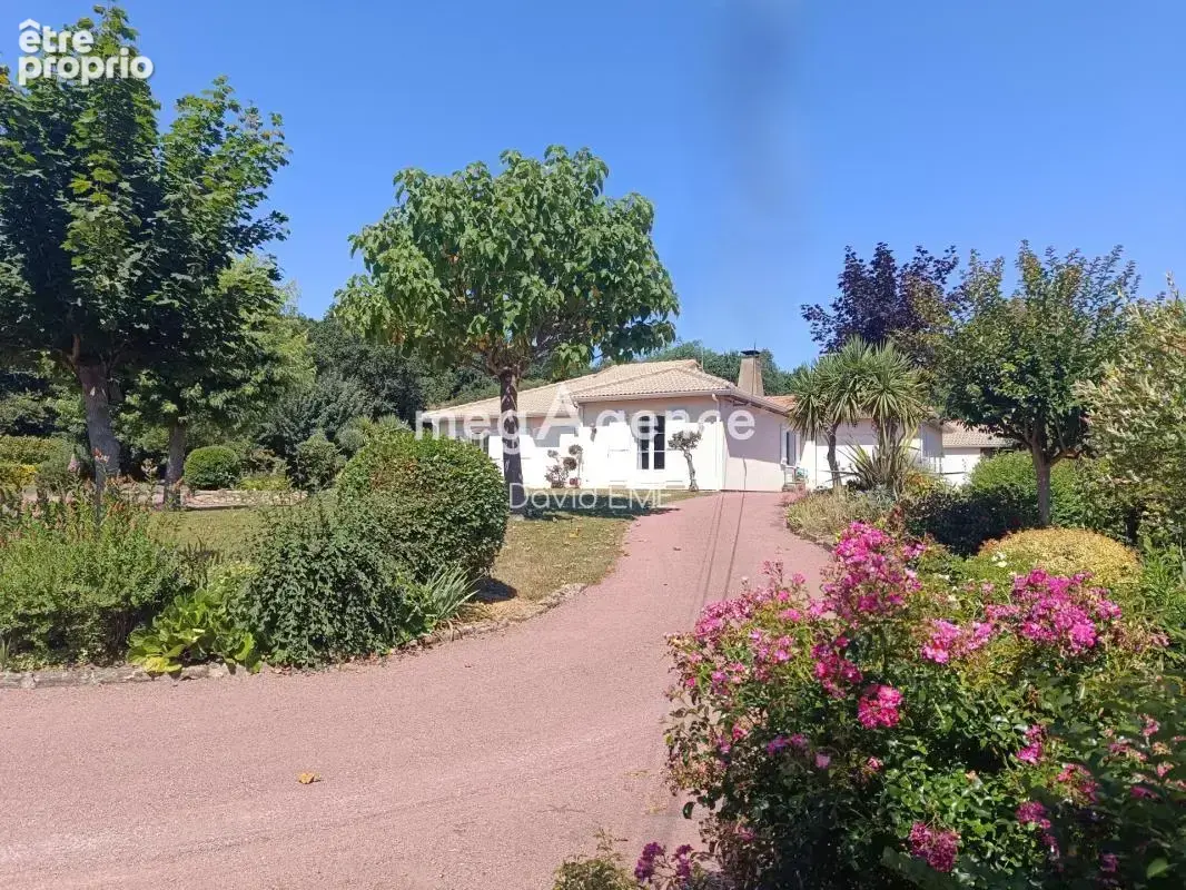 6 Pièces, 150 m2, 4 chambres, Maché - photo 6