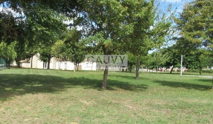 Terrain à MARSEILLAN