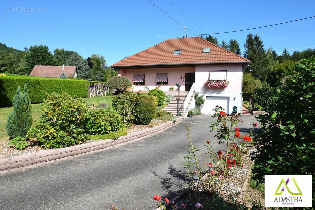 Maison 173 m² à Sickert  - photo 2