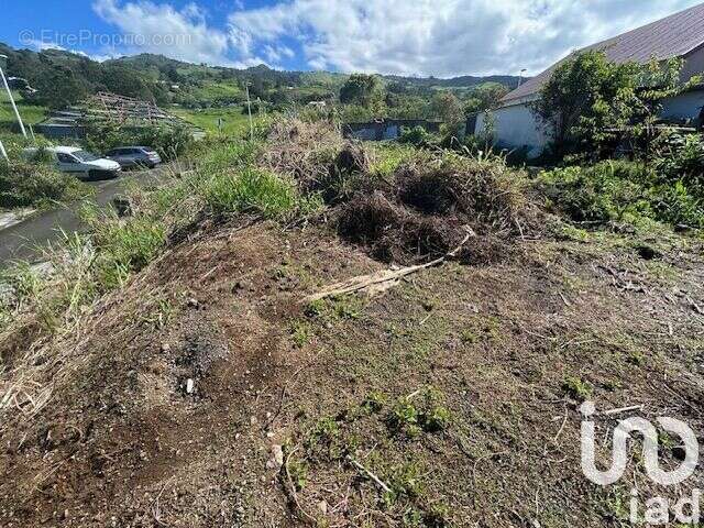 Photo 2 - Terrain à LE PORT