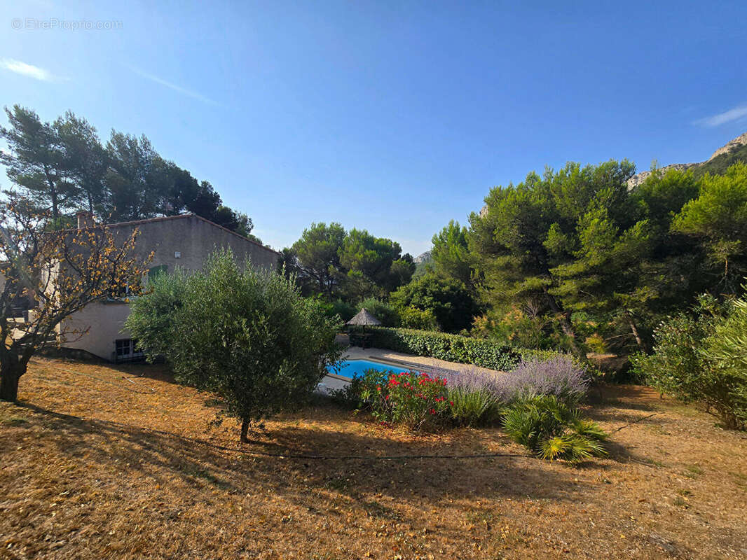 CADOLIVE - Villa T4 + cabanon aménagé de 35m² s/5000m² - photo 10