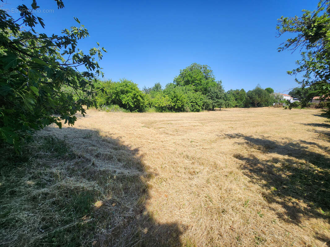 Terrain à SAINT-ETIENNE-DE-BRILLOUET