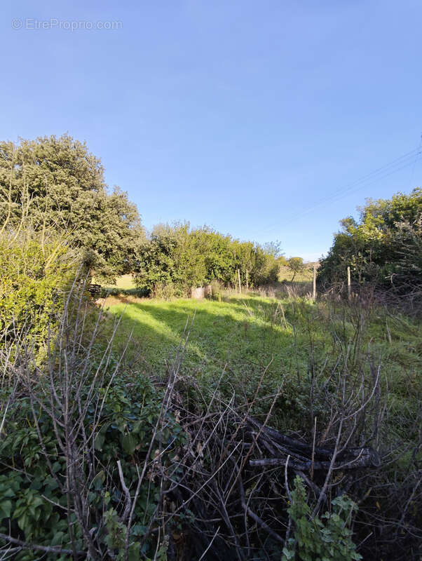 Appartement à VILLESISCLE