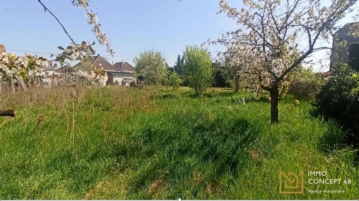 Terrain à WINTZENHEIM