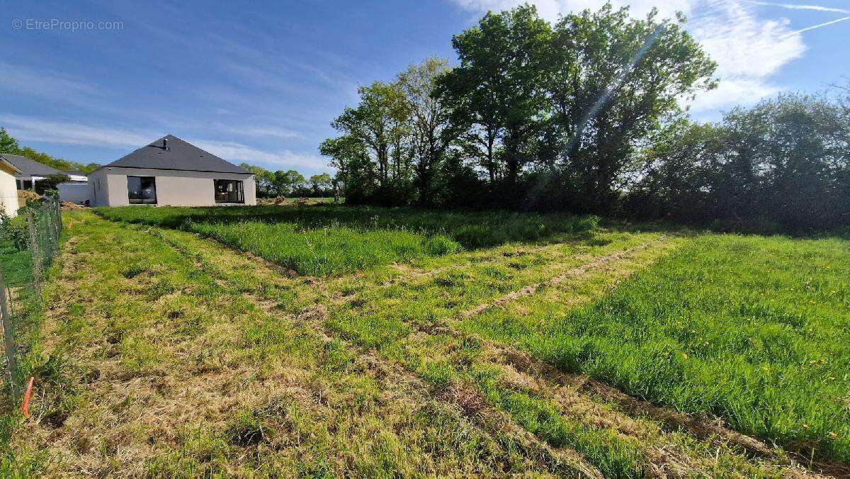 Terrain à LA CHAPELLE-LAUNAY