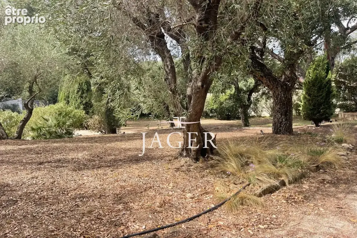 Maison 9 pièces 210 m² à vendre à Grimaud (83310) - photo 6