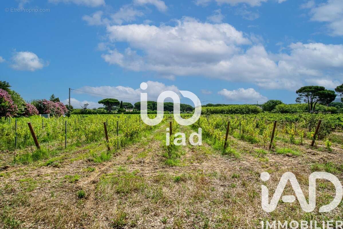 Photo 6 - Maison à RAMATUELLE