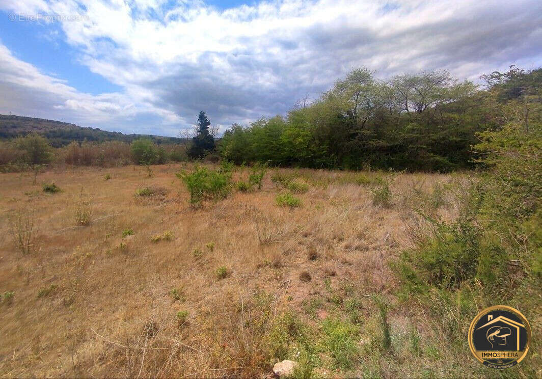 Terrain 5260 m² à Portel-Des-Corbieres  - photo 2