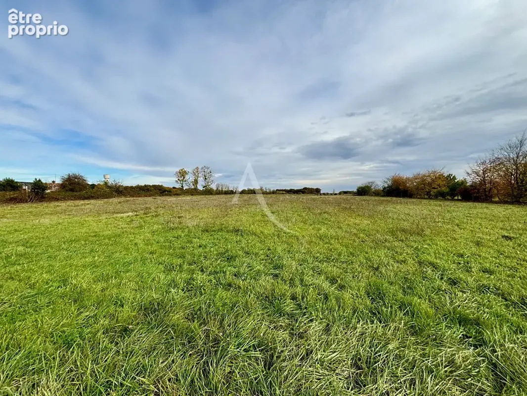 Terrain à SOINGS-EN-SOLOGNE