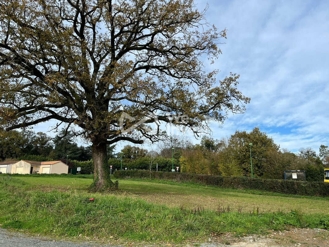Terrain à MOUCHAMPS