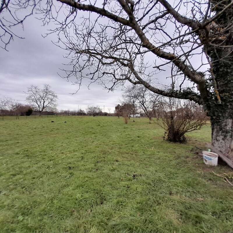 Maison à vendre 3 pièces SAINT MARCEL (36) - photo 15