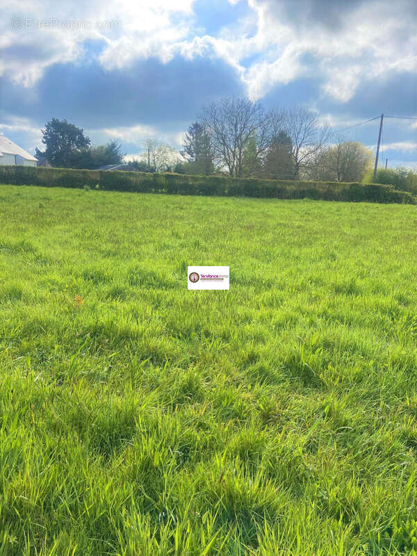 Terrain à LE MELE-SUR-SARTHE
