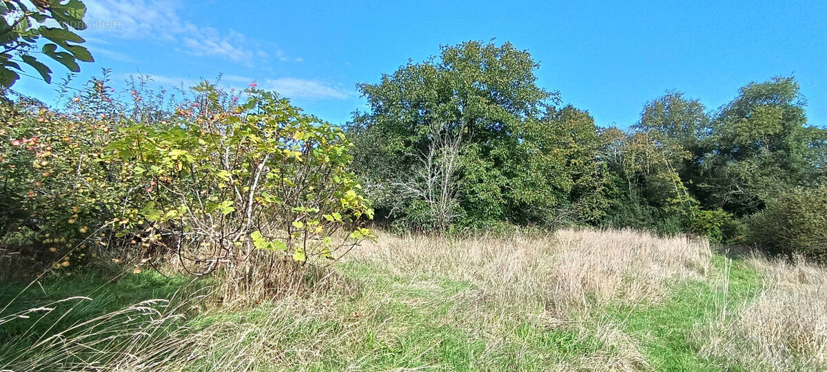 Terrain à CONCARNEAU