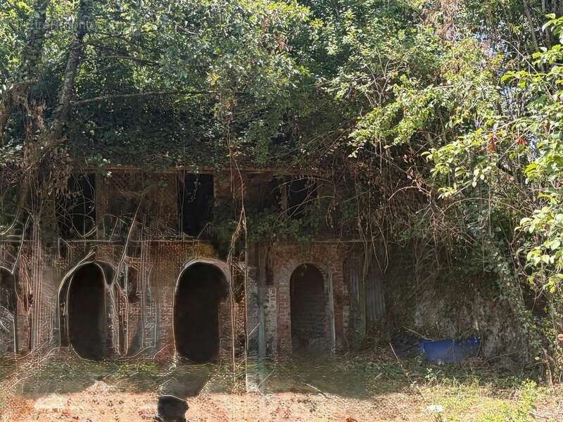 PLAISANCE du GERS proche(32): ANCIENNE PROPRIETE BOURGEOISE avec dépendances, bois, petit etang, 2 hectares,CALME, sans vis à vi - photo 10