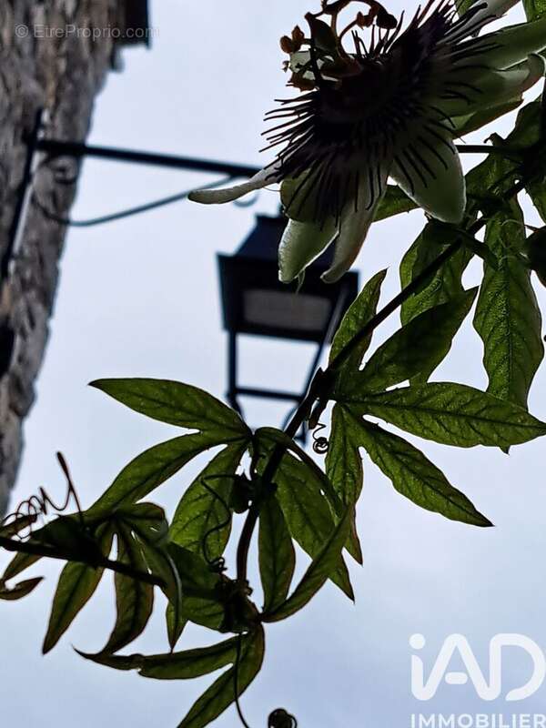 Photo 5 - Maison à GRAS