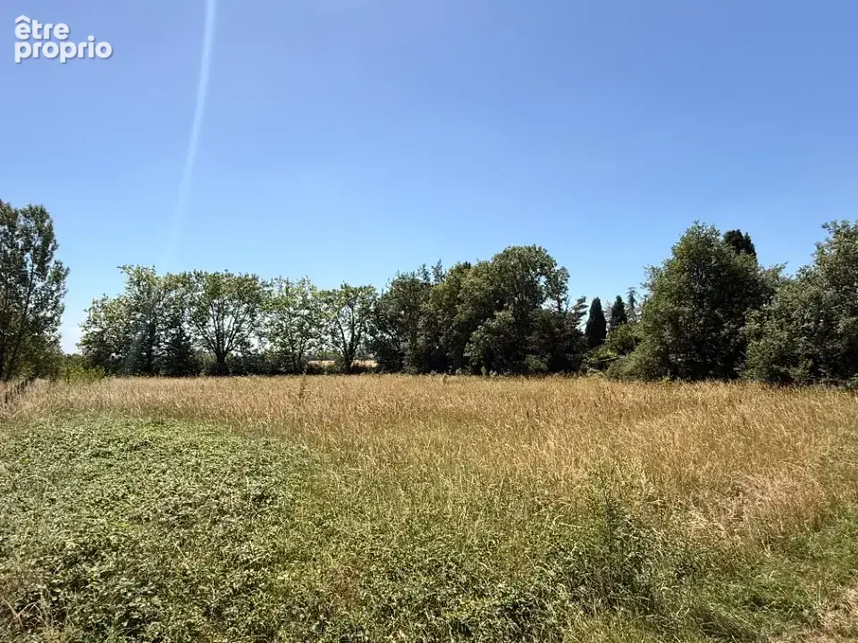 Terrain 3 205 m² à vendre à Garrevaques (81700) - photo 2
