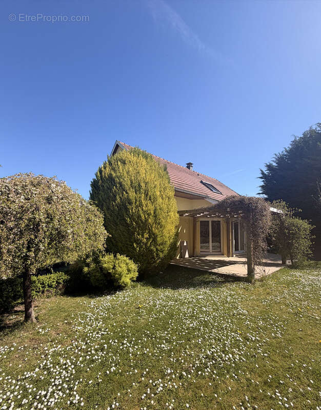 Maison à ESCHENTZWILLER