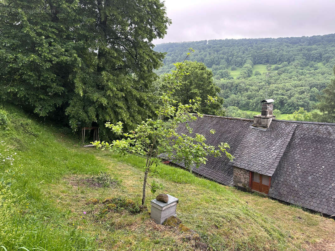Maison à SAINT-PAUL-DE-SALERS