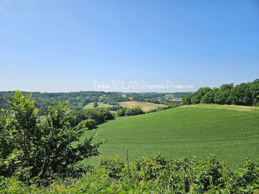 Maison à LAROQUE-TIMBAUT