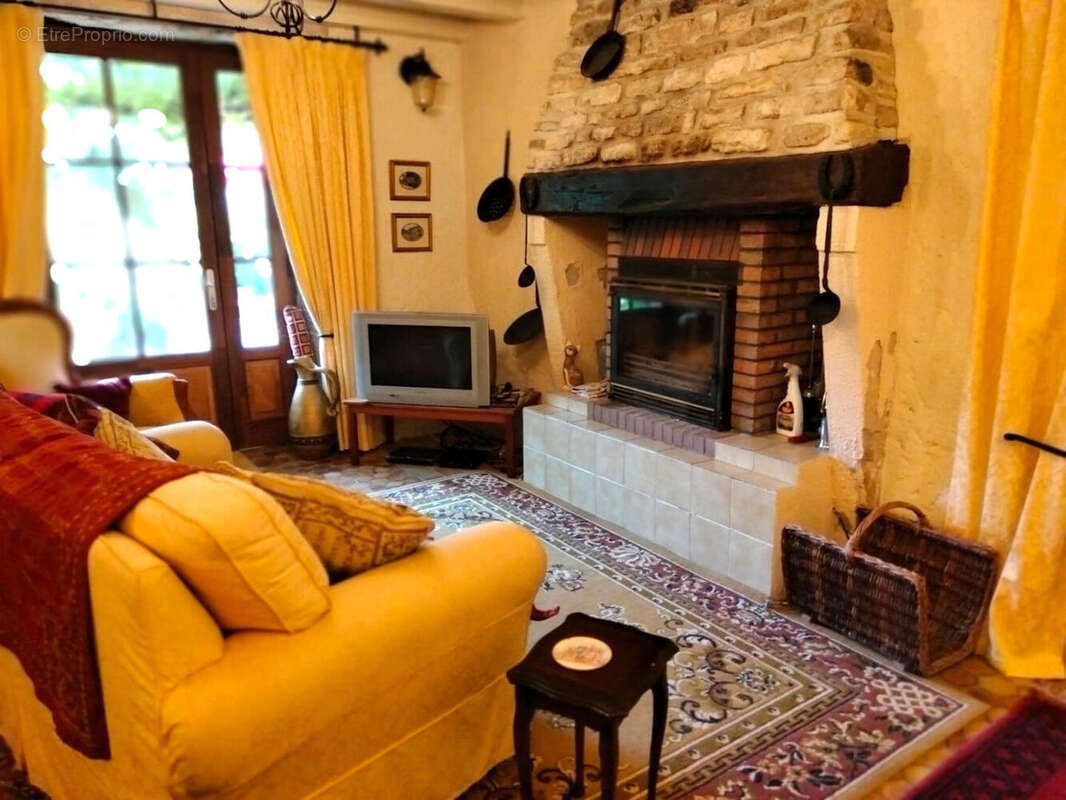 SALON - Maison à SALLES-DE-VILLEFAGNAN